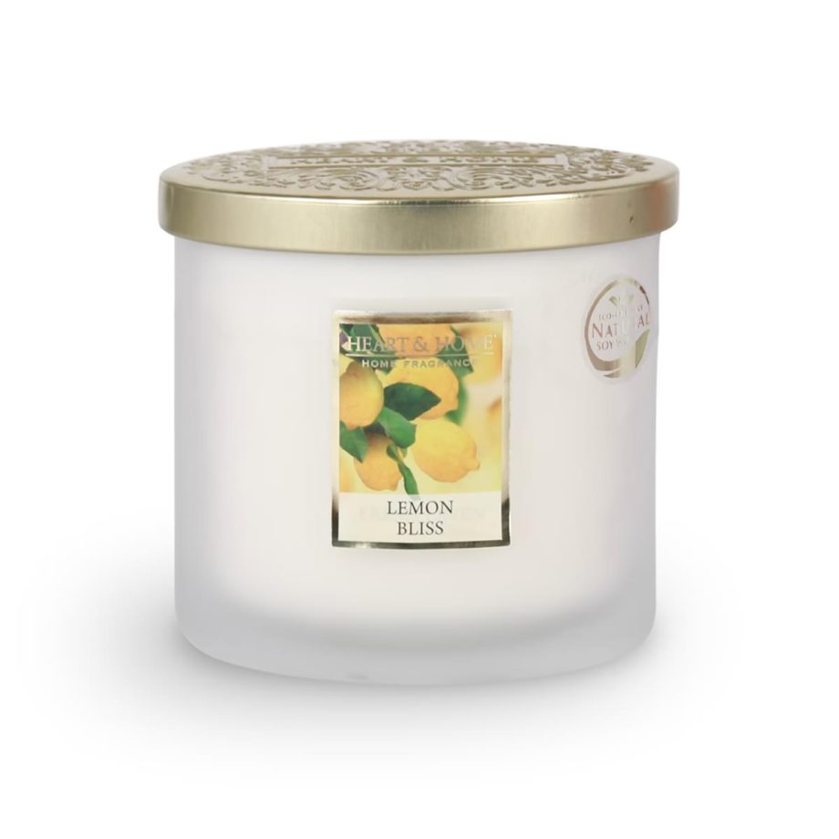 Lemon Bliss - 2 Wick Ellipse Candle