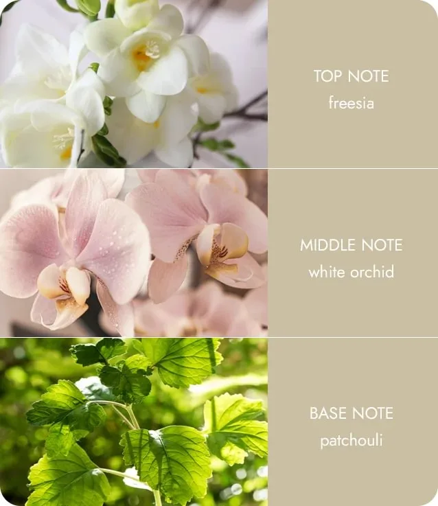 Love Always - Fragrance Diffuser